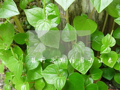 银行逾期信用卡证券化