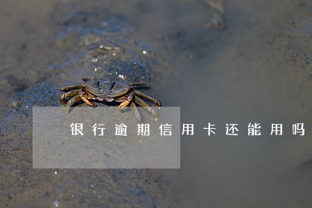 银行逾期信用卡还能用吗