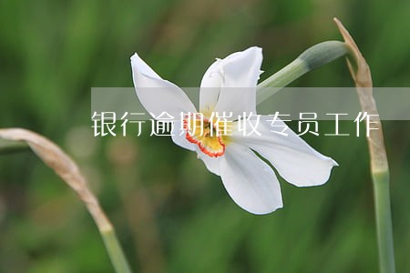 银行逾期催收专员工作 银行逾期催收专员工作