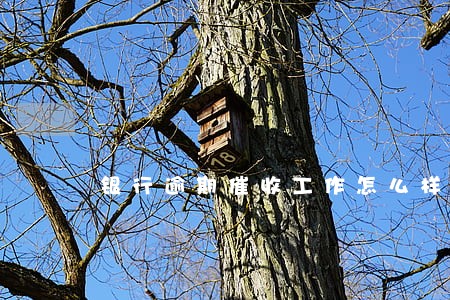 银行逾期催收工作怎么样 银行逾期催收工作怎么样
