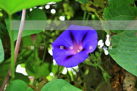 银行逾期催收新闻稿 银行逾期催收新闻稿