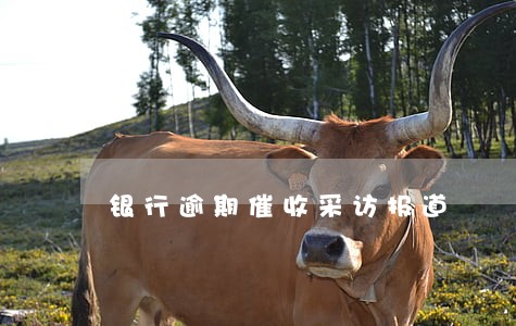 银行逾期催收采访报道 银行逾期催收采访报道