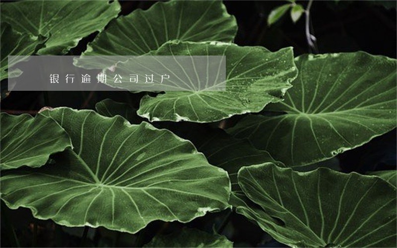 银行逾期公司过户 银行逾期公司过户