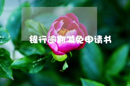 银行逾期减免申请书 银行逾期减免申请书