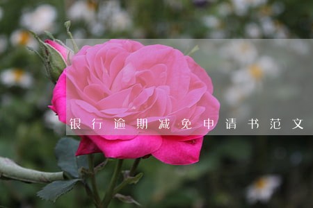 银行逾期减免申请书范文
