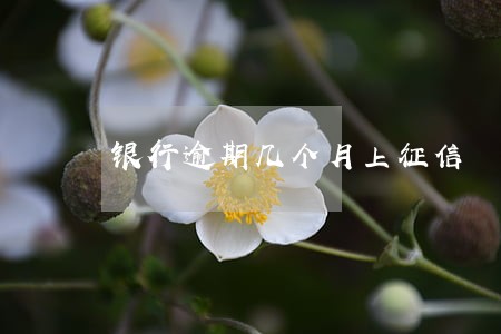 银行逾期几个月上征信 银行逾期几个月上征信