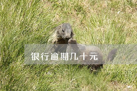 银行逾期几十元 银行逾期几十元