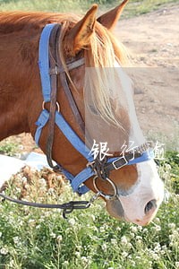 银行逾期几天上信报 银行逾期几天上信报