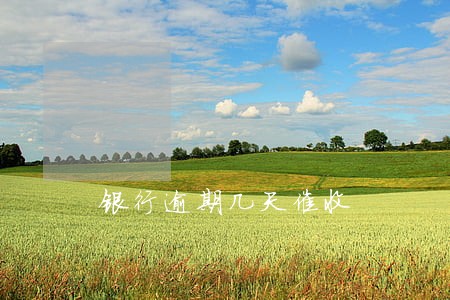 银行逾期几天催收 银行逾期几天催收