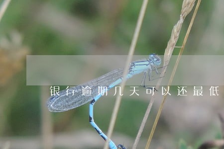 银行逾期几天可以还最低还款吗 银行逾期几天可以还最低还款吗
