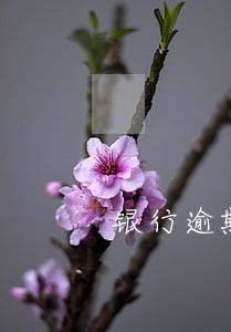 银行逾期几天就给家里联系 银行逾期几天就给家里联系
