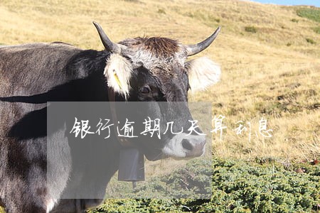 银行逾期几天算利息 银行逾期几天算利息