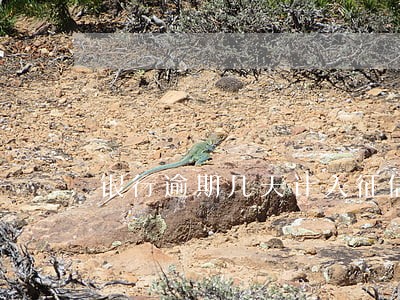 银行逾期几天计入征信 银行逾期几天计入征信