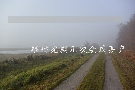 银行逾期几次会成黑户 银行逾期几次会成黑户