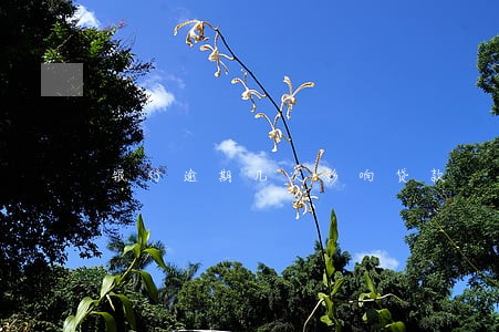 银行逾期几次影响贷款 银行逾期几次影响贷款