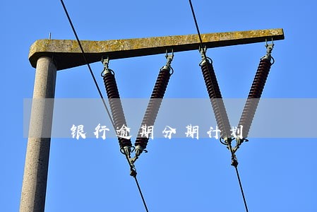 银行逾期分期计划 银行逾期分期计划
