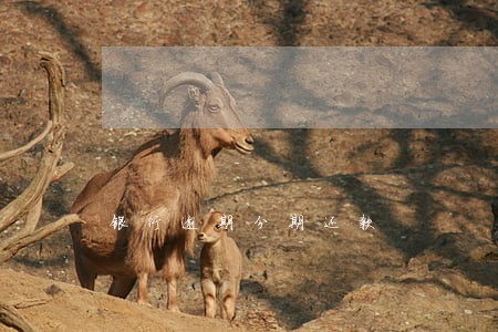 银行逾期分期还款 银行逾期分期还款