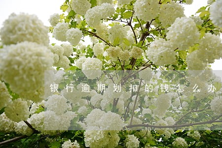 银行逾期划扣的钱怎么办 银行逾期划扣的钱怎么办