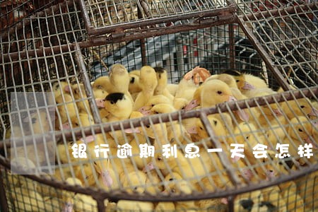 银行逾期利息一天会怎样 银行逾期利息一天会怎样
