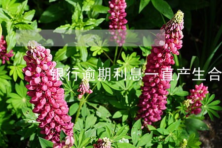 银行逾期利息一直产生合法吗