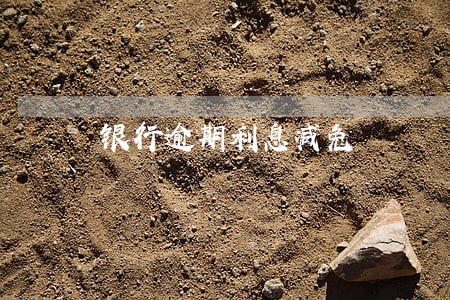 银行逾期利息减免 银行逾期利息减免