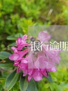 银行逾期利息可不可以税前扣除 银行逾期利息可不可以税前扣除