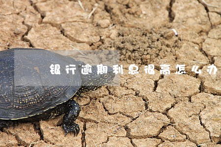 银行逾期利息很高怎么办上海 银行逾期利息很高怎么办上海