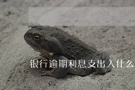 银行逾期利息支出入什么科目 银行逾期利息支出入什么科目