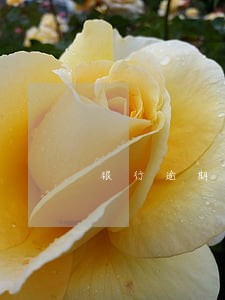 银行逾期利息收回会计处理 银行逾期利息收回会计处理