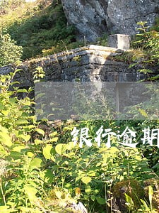 银行逾期利息是什么 银行逾期利息是什么