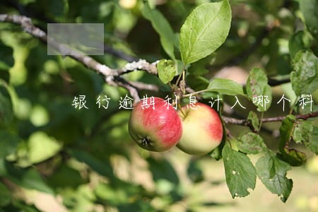银行逾期利息计入哪个科目 银行逾期利息计入哪个科目