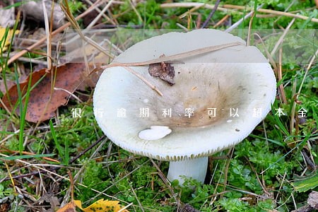 银行逾期利率可以超本金吗上海 银行逾期利率可以超本金吗上海