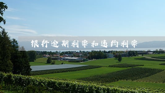银行逾期利率和违约利率 银行逾期利率和违约利率
