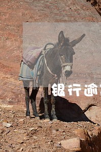 银行逾期十几次算黑户嘛