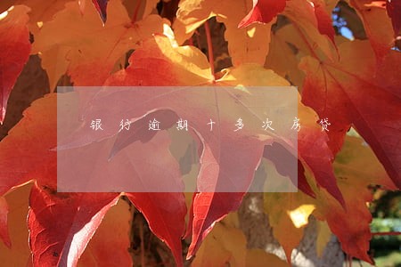 银行逾期十多次房贷 银行逾期十多次房贷