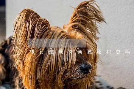 银行逾期协商要还利息吗 银行逾期协商要还利息吗