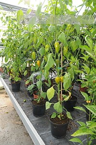 银行逾期可以免除吗 银行逾期可以免除吗