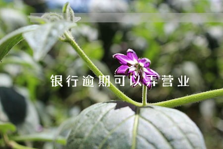 银行逾期可以弄营业 银行逾期可以弄营业