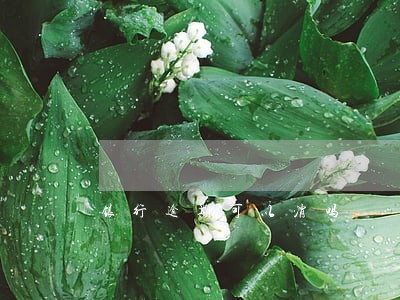 银行逾期可以消吗 银行逾期可以消吗