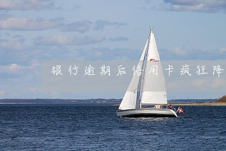 银行逾期后信用卡疯狂降额 银行逾期后信用卡疯狂降额