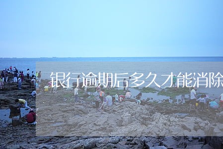 银行逾期后多久才能消除 银行逾期后多久才能消除