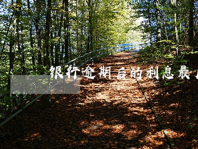银行逾期后的利息最后会
