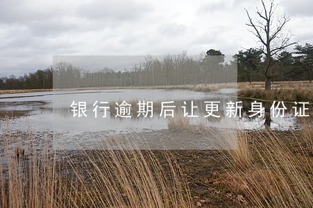 银行逾期后让更新身份证信息 银行逾期后让更新身份证信息