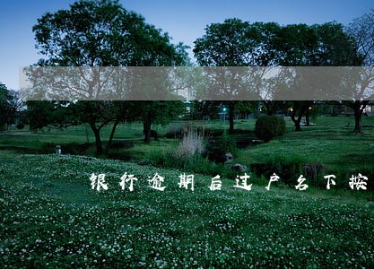 银行逾期后过户名下按揭房 银行逾期后过户名下按揭房