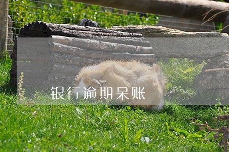 银行逾期呆账
