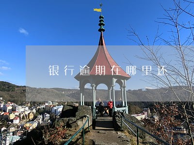 银行逾期在哪里还 银行逾期在哪里还