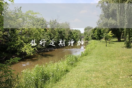 银行逾期增加 银行逾期增加