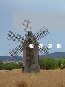 银行逾期处理的钱都是还本金吗 银行逾期处理的钱都是还本金吗