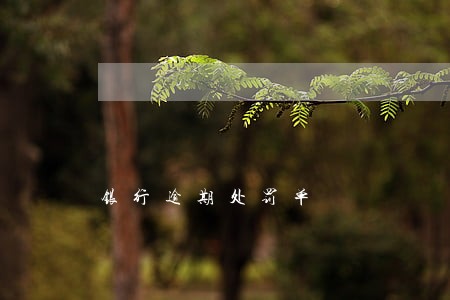 银行逾期处罚单 银行逾期处罚单