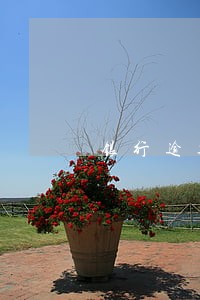 银行逾期多久会催款 银行逾期多久会催款